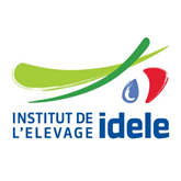 logo idele