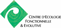 logo cefe